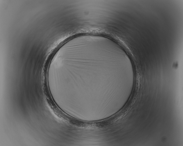 X0000115690674200912031443