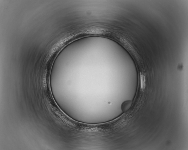 X0000115690675200912031443