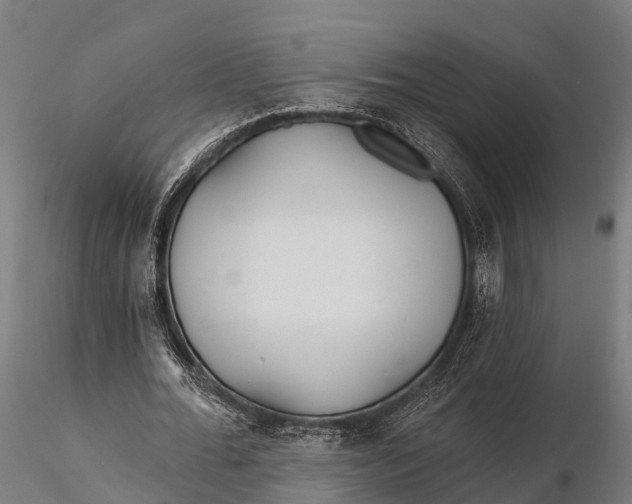 X0000115690676200912031443