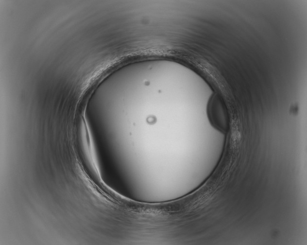 X0000115690677200912031443