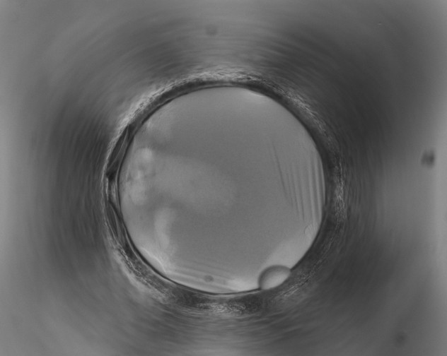 X0000115690678200912031443