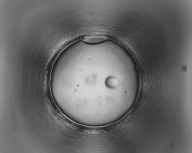 X0000115690679200912031443