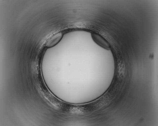 X0000115690680200912031443