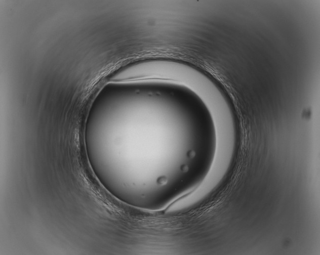 X0000115690681200912031443