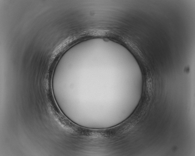 X0000115690682200912031443