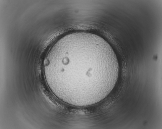 X0000115690683200912031443