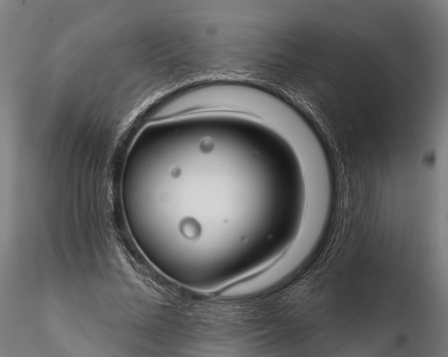 X0000115690684200912031443