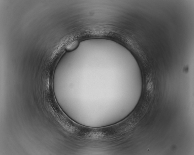 X0000115690685200912031443