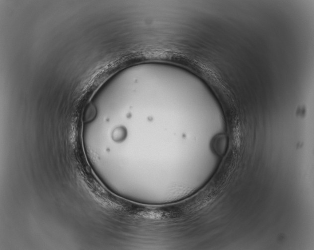 X0000115690687200912031443