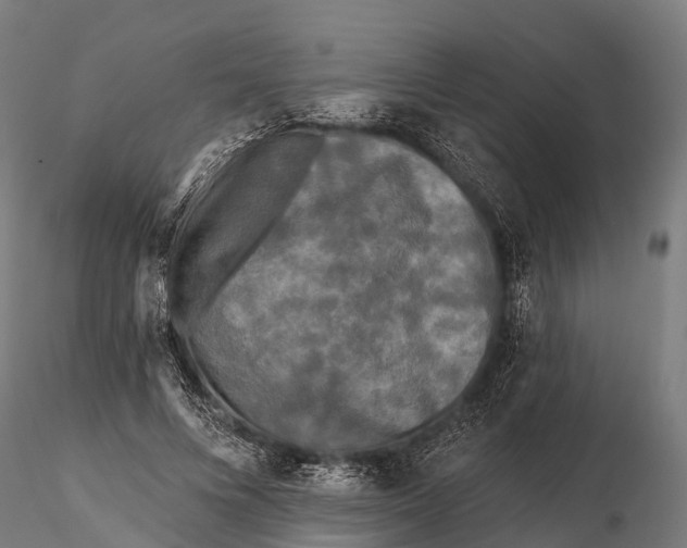 X0000115690688200912031443