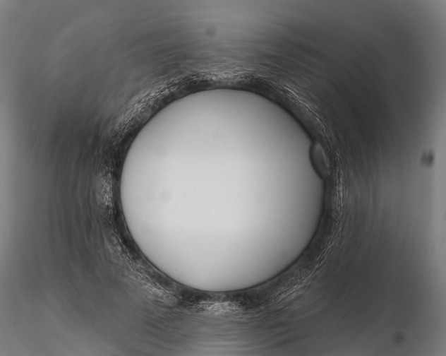 X0000115690689200912031443