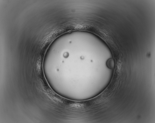 X0000115690691200912031443