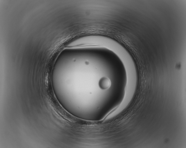 X0000115690692200912031443