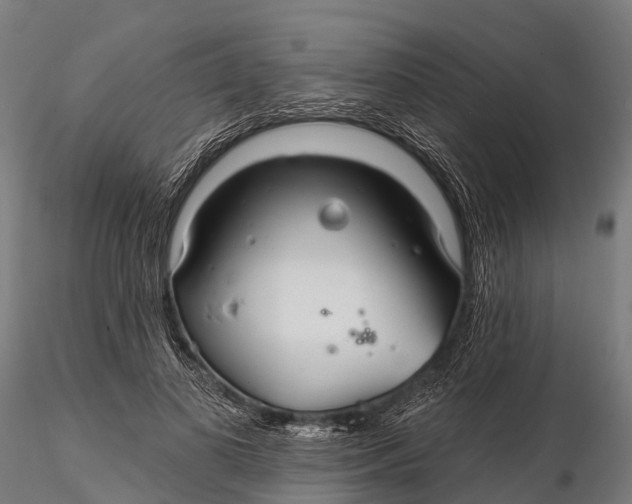 X0000115690693200912031443