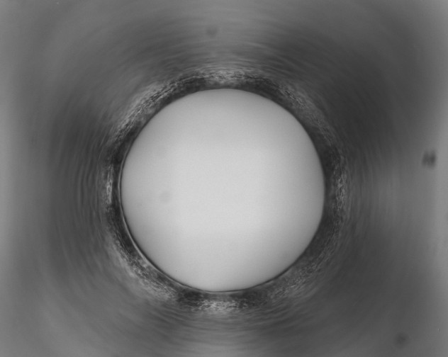 X0000115690694200912031443