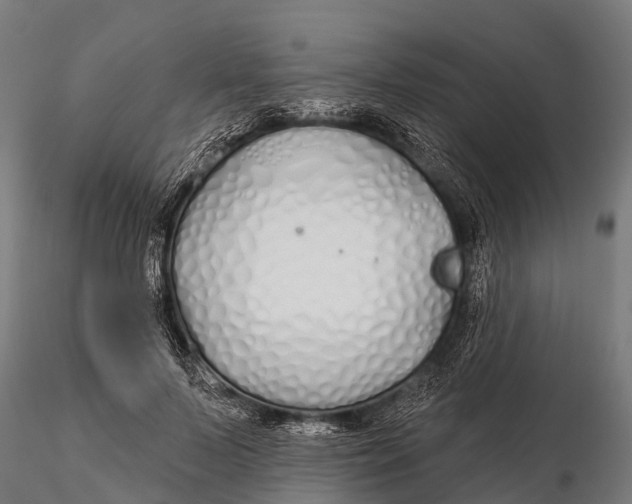 X0000115690695200912031443