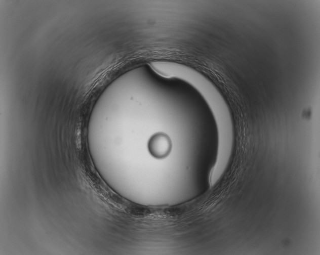 X0000115690696200912031443