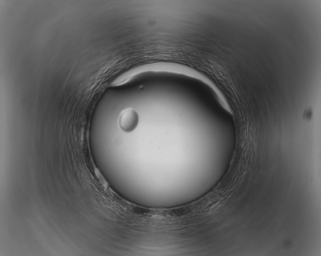 X0000115690697200912031443