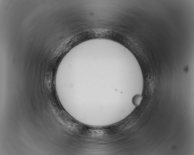 X0000115690698200912031443