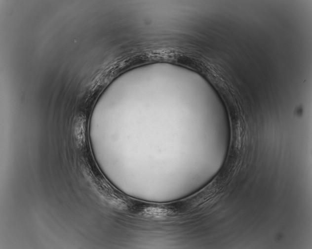 X0000115690699200912031443