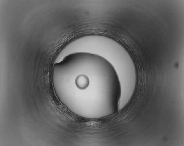 X0000115690700200912031443