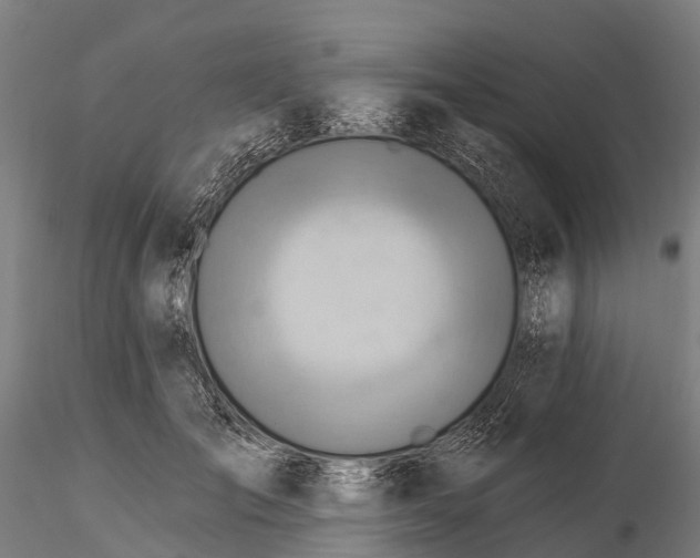 X0000115690701200912031443