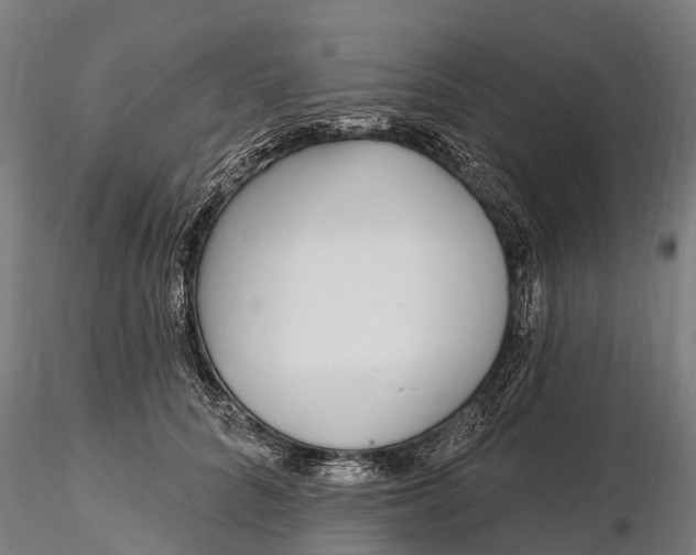 X0000115690704200912031443