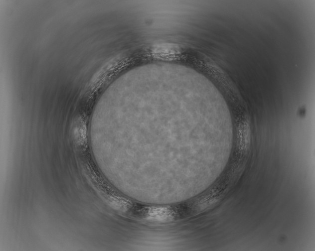 X0000115690705200912031443