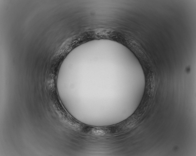 X0000115690706200912031443