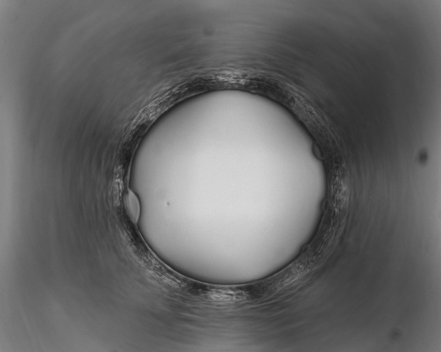 X0000115690707200912031443