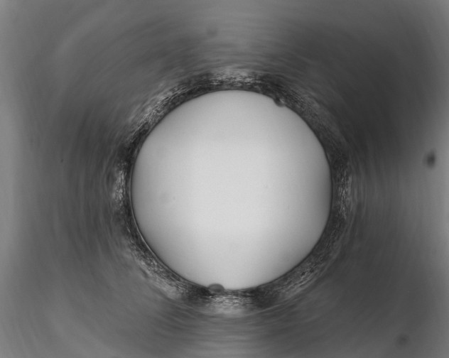 X0000115690708200912031443