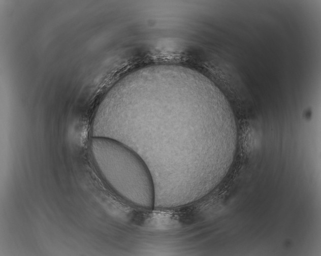 X0000115690709200912031443