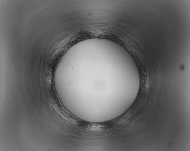 X0000115690710200912031443