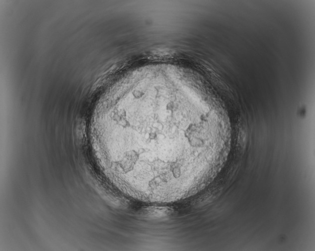 X0000115690711200912031443