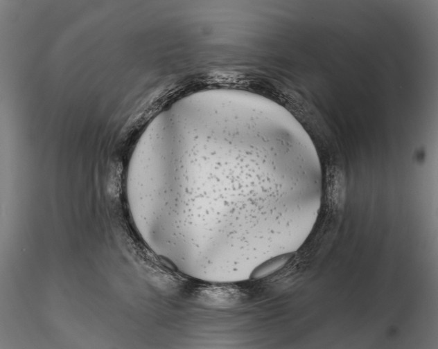 X0000115690712200912031443