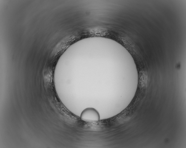 X0000115690713200912031443