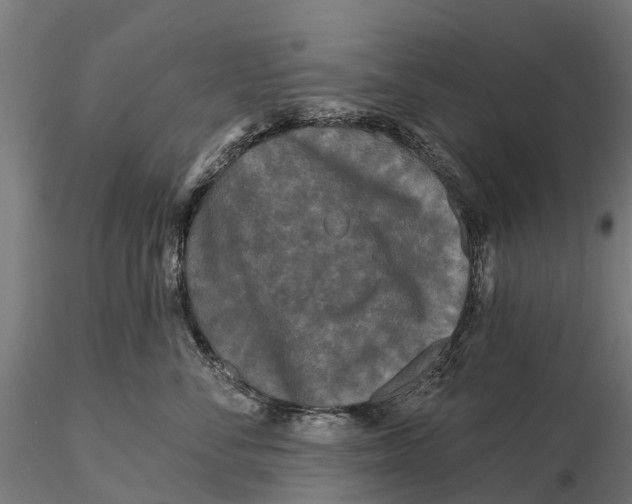 X0000115690716200912031442