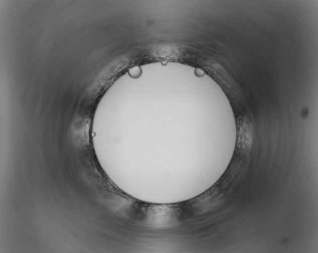 X0000115690717200912031442