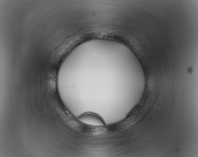 X0000115690719200912031442