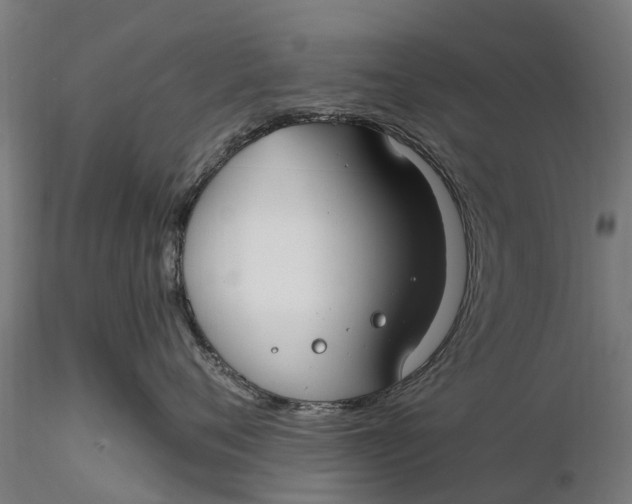 X0000115690720200912031442