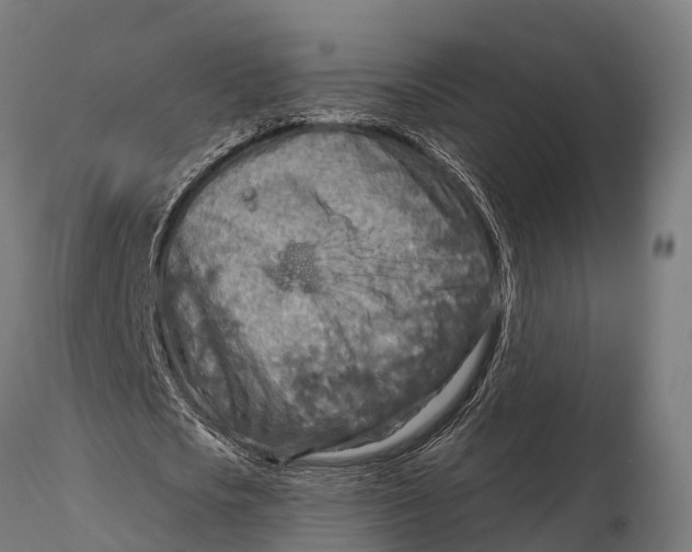 X0000115690721200912031442