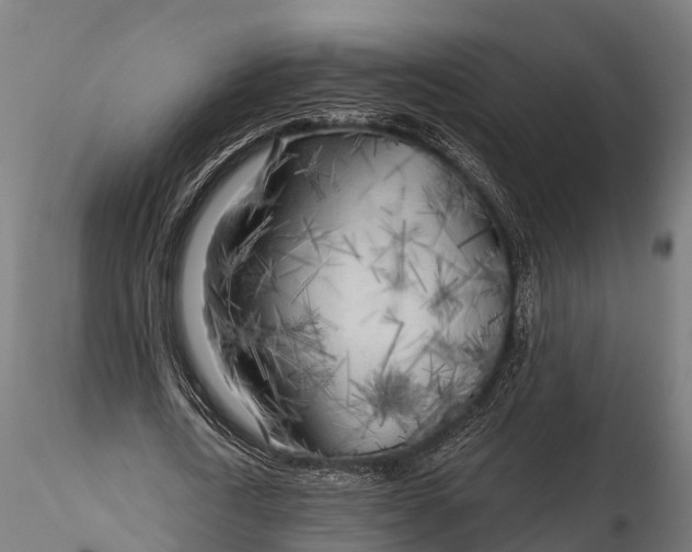 X0000115690722200912031442