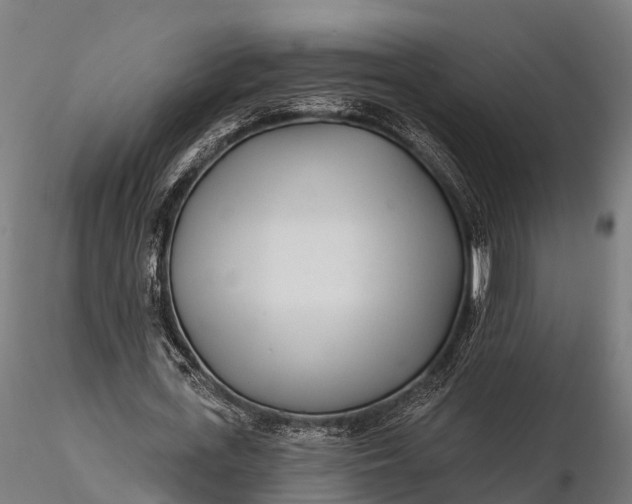 X0000115690723200912031442