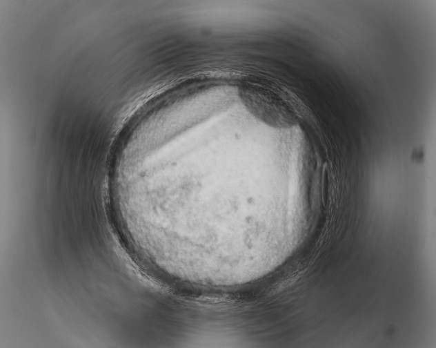 X0000115690725200912031442