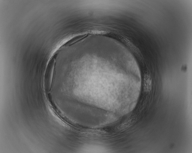 X0000115690726200912031442