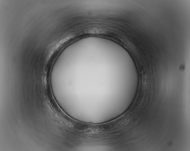 X0000115690727200912031442