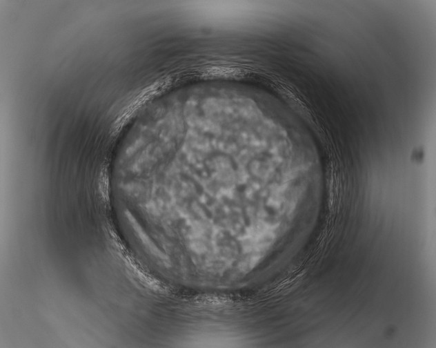 X0000115690729200912031442