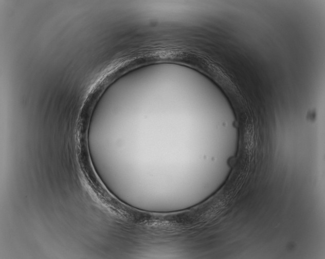 X0000115690730200912031442