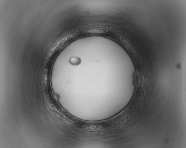 X0000115690731200912031442