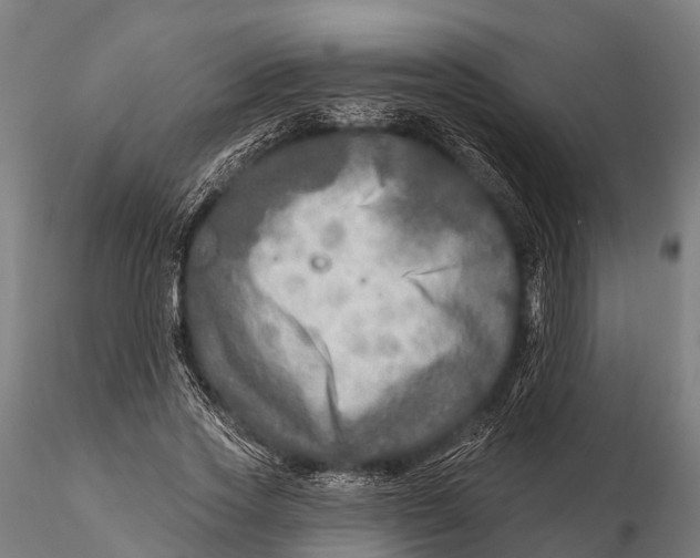 X0000115690733200912031442